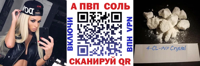 Альфа ПВП СК  Калининград 