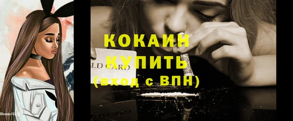 хмурый Бородино