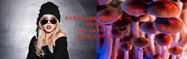 трава Бронницы