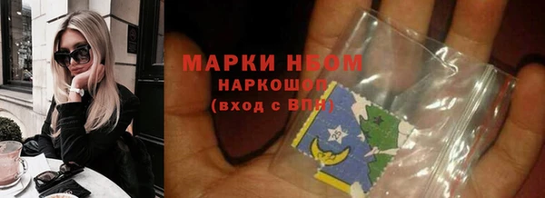 хмурый Бородино