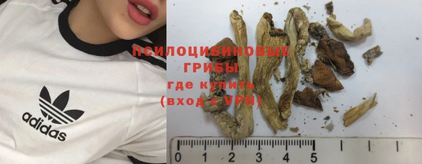 гидра Верхнеуральск