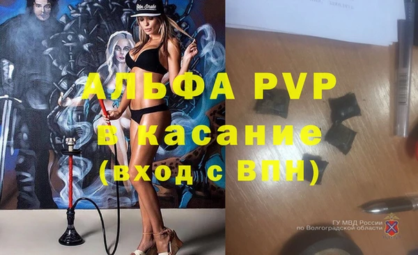 хмурый Бородино