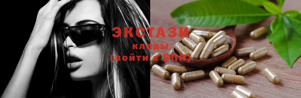 хмурый Бородино