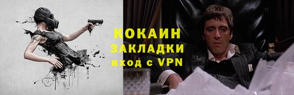 хмурый Бородино