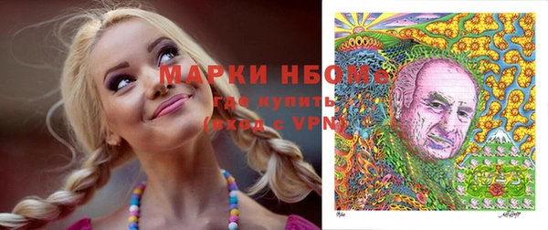 хмурый Бородино