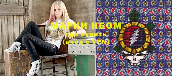 хмурый Бородино