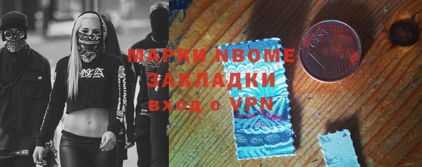хмурый Бородино