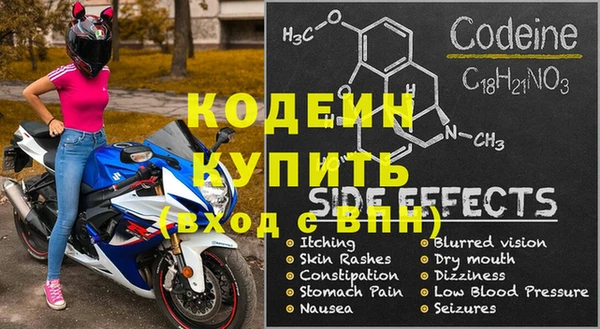 хмурый Бородино