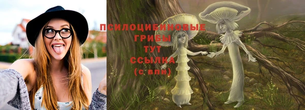 трава Бронницы